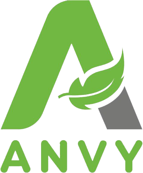 Logo ANVY